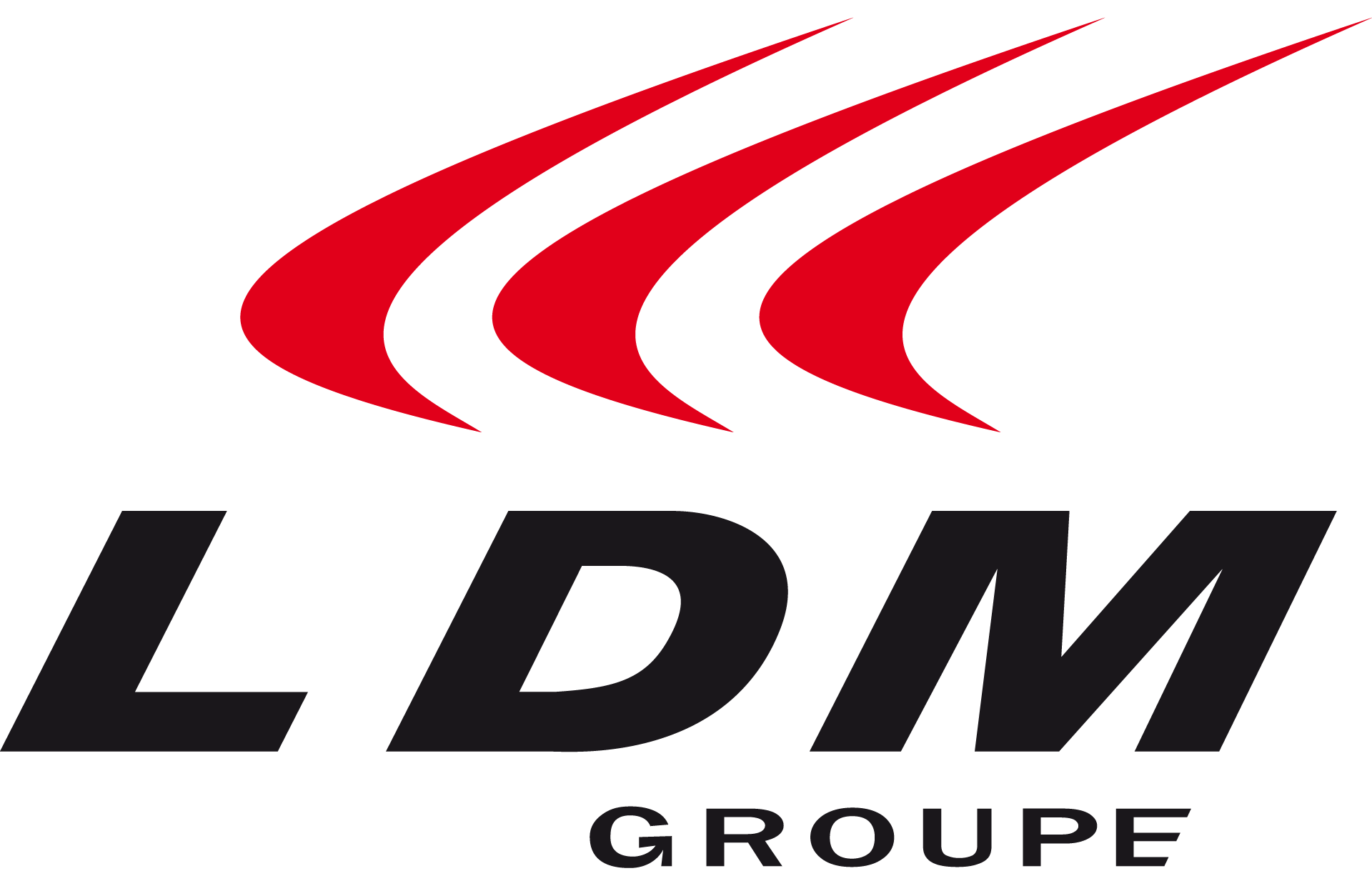 LDM GROUPE